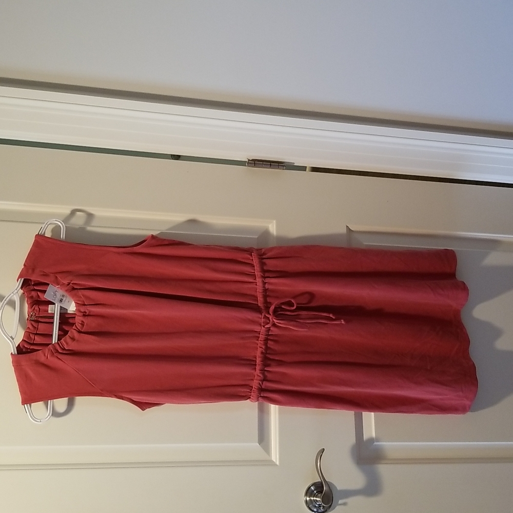 NWT size M Loft dress soft rose color